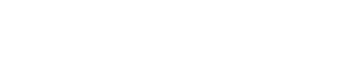 Audix logo