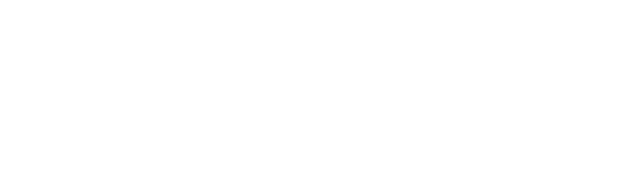 VADDIO logo